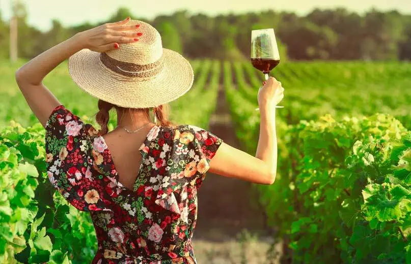 turismo del vino