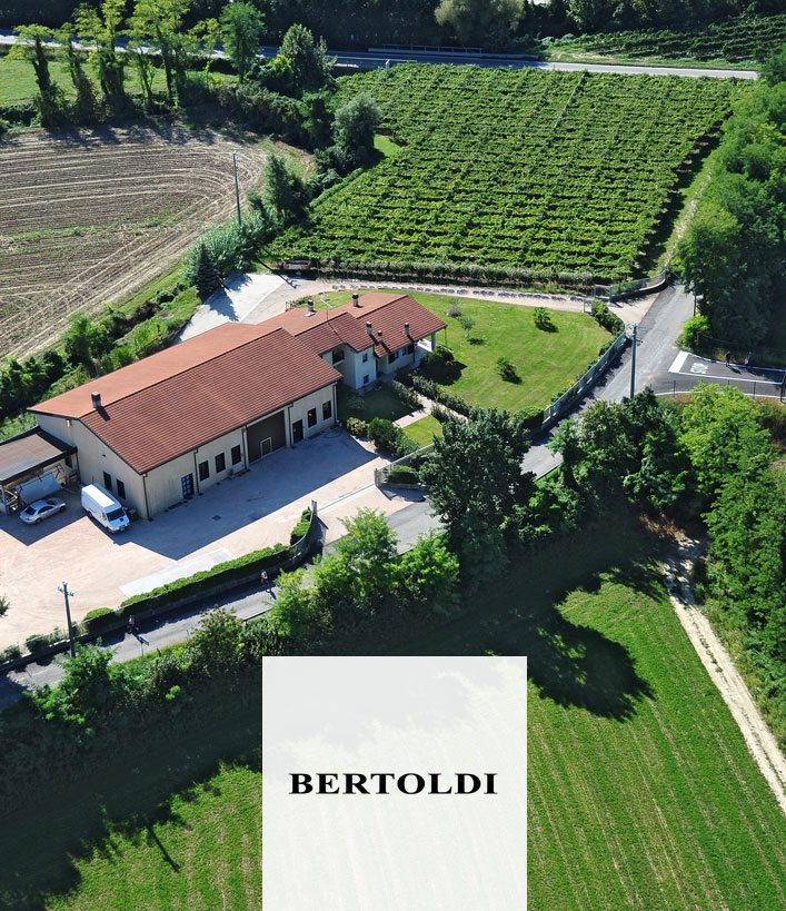 Cantine Bertoldi